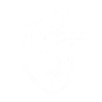 Funzione cardiovascolare