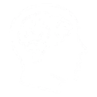 Funzione cognitiva