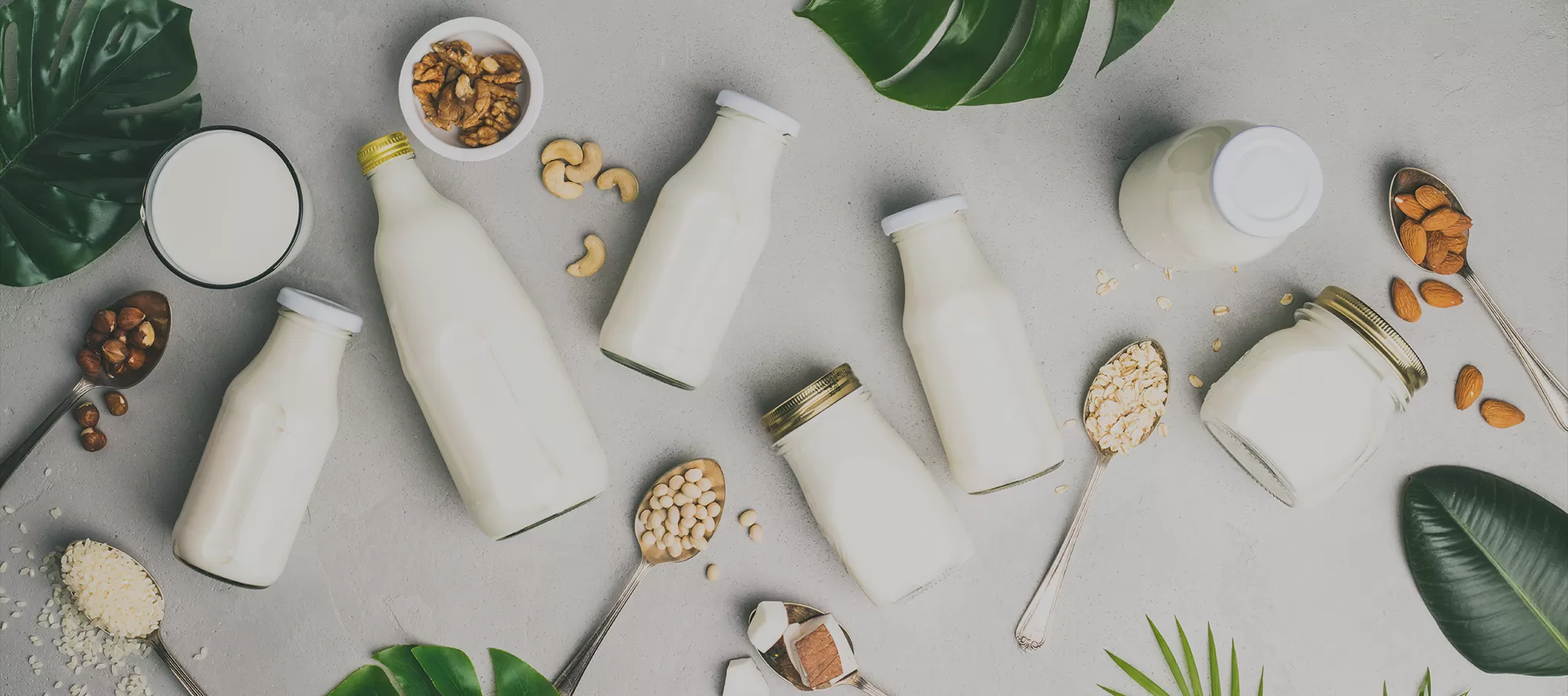 Ingredienti nutrizionali Richen per latte e latticini