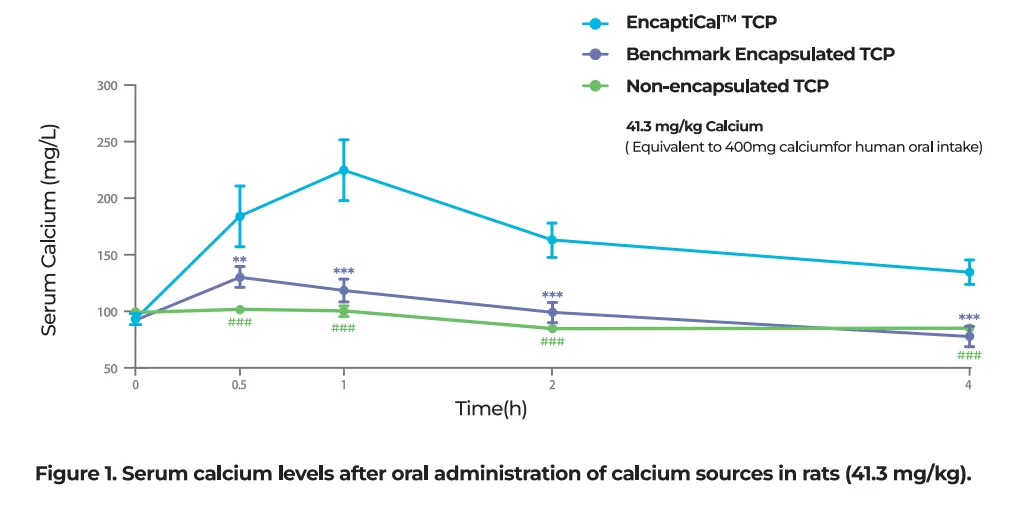 serum calcium levels after oral administration of calcium sources in rats